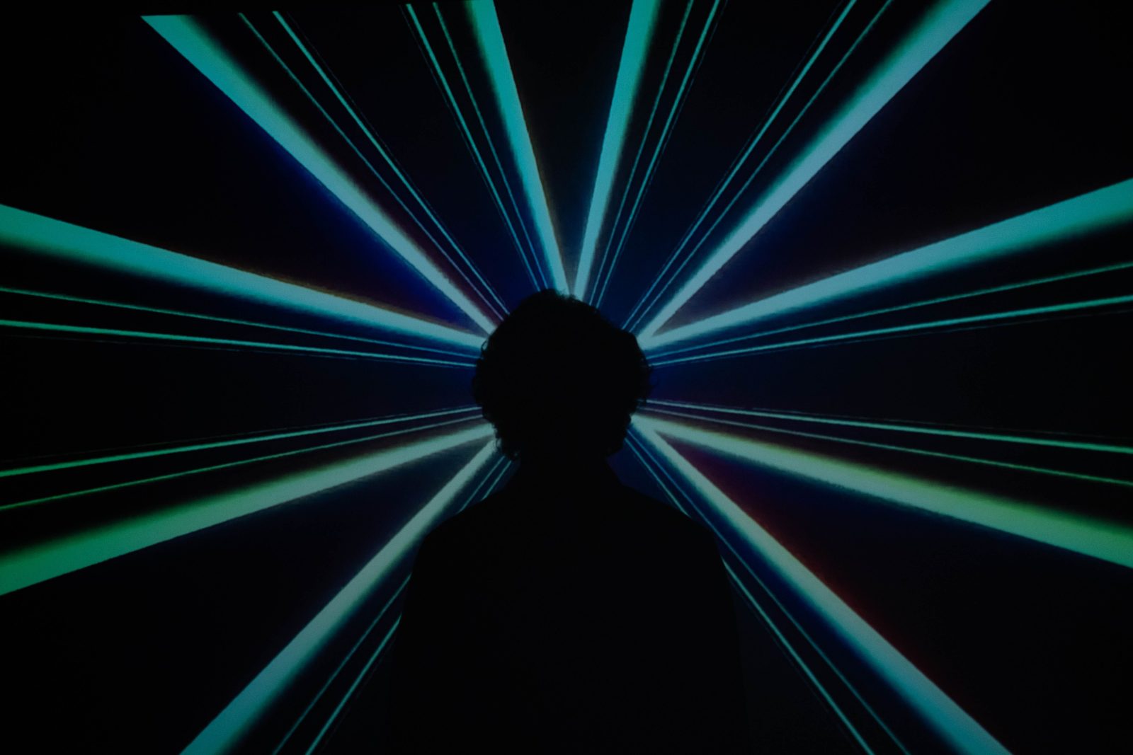 Fiche — Hallucinations de l'IA